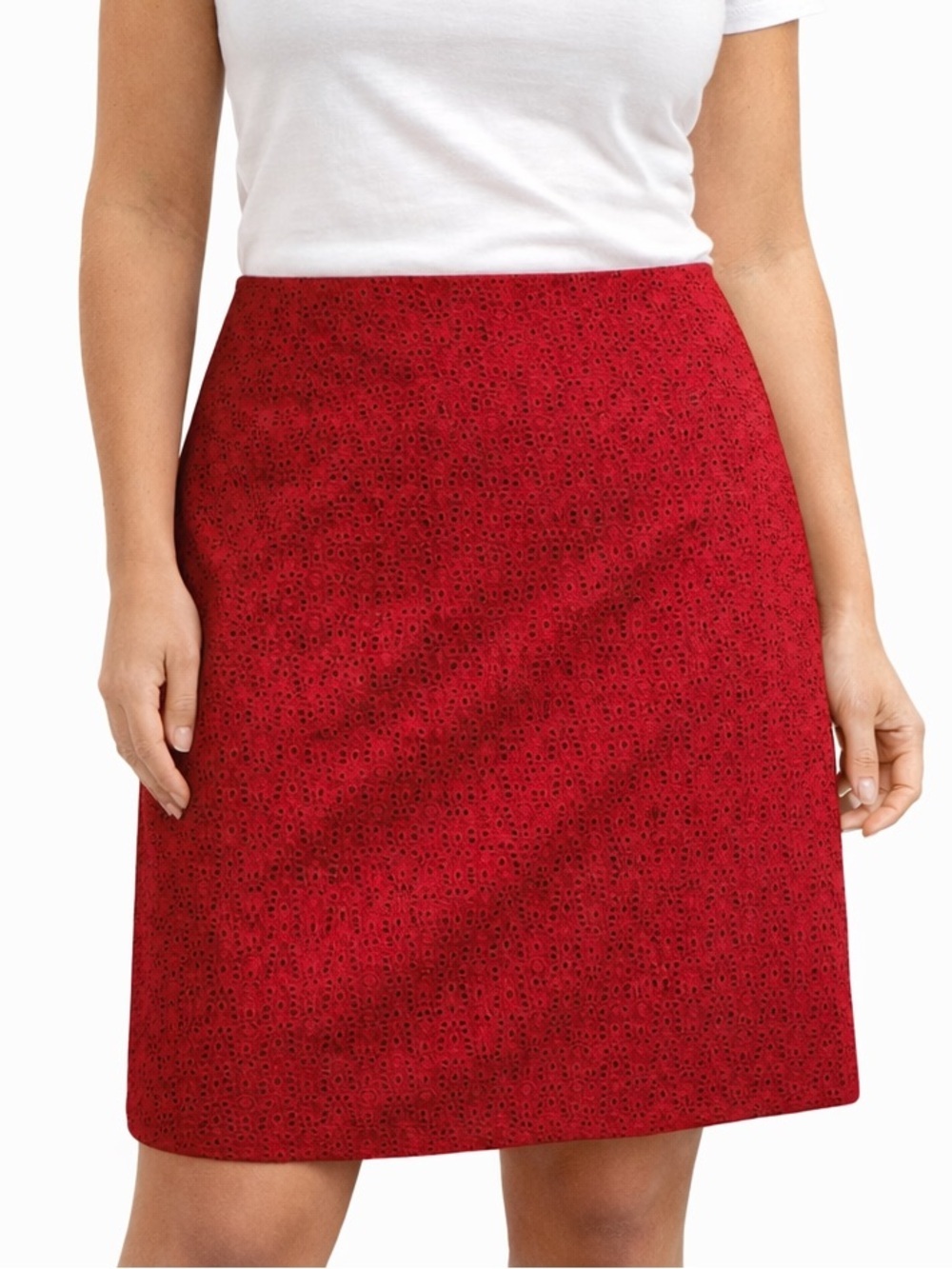 Talbots Skirt Preppy Cotton Eyelet | A-Line Lined Office Cottagecore Summer Sz 8